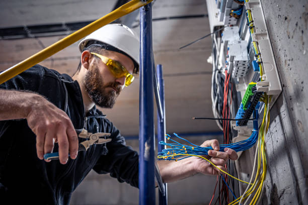 Best Electric Panel Repair  in Buffalo, TX